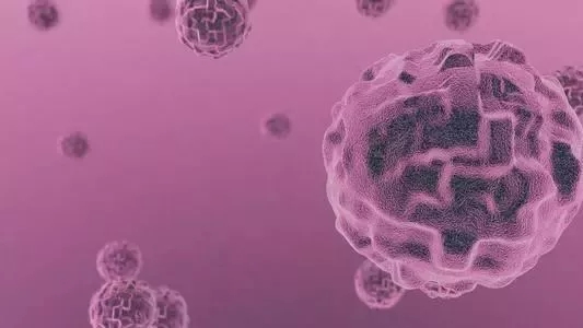盘点 | 2019肿瘤免疫疗法最新进展